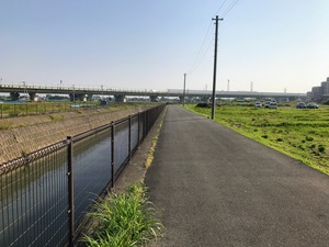 IMG_4442