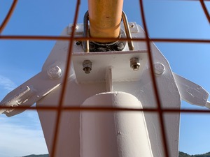 IMG_1181