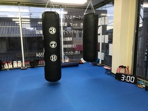 IMG_1246