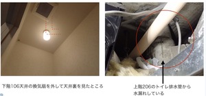 rousui1