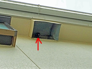 写真-2-(6)1