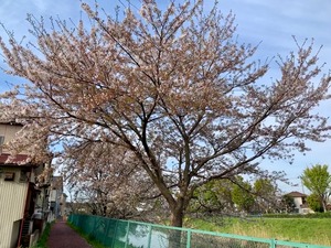 IMG_3895