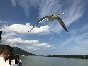 IMG_6447