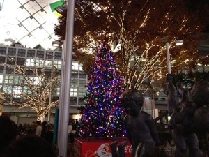 写真 (48)