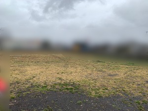 IMG_3182