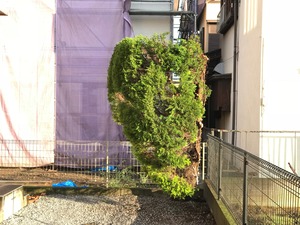 IMG_7155