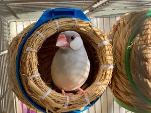 IMG_0775