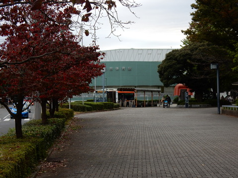 DSCN5080