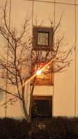 201202010703001