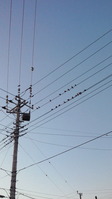 201202040649000