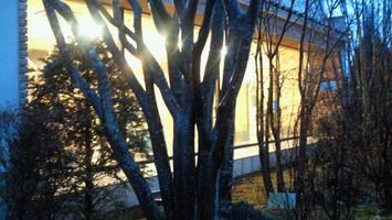 201202070644001