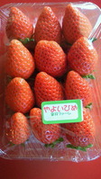 201201180829002
