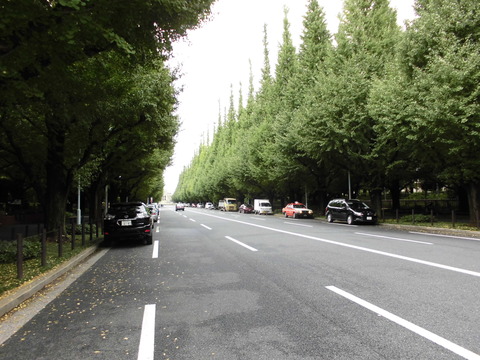 CIMG0966