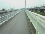NEC_0864.JPG