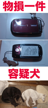 60c03575.jpg