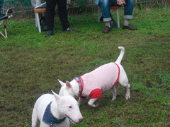 2011_1023_111909-CIMG3043