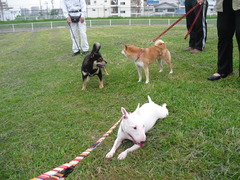 2011_0521_074119-CIMG2338