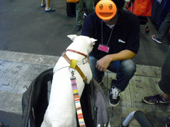 BlogPaint