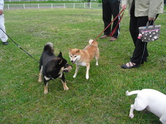 2011_0521_074113-CIMG2337
