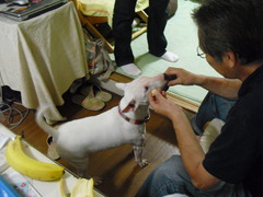 2011_0619_134934-CIMG2433