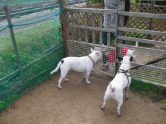 2011_1023_130500-CIMG3132