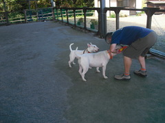 2011_0919_142411-CIMG2889