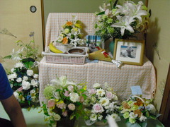 2011_0619_135157-CIMG2436