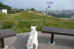 BlogPaint