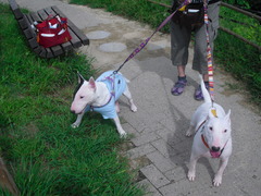 2011_0919_100138-CIMG2825