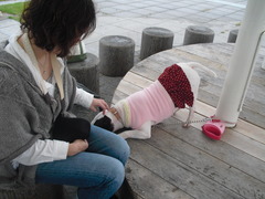2011_1105_120705-CIMG3242