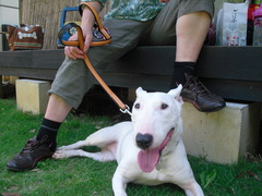 2011_0625_151324-CIMG2500