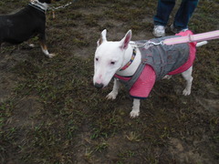 2011_1023_132939-CIMG3171