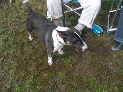 2011_1023_124718-CIMG3088