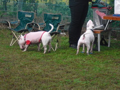 2011_1023_112115-CIMG3049