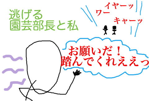 BlogPaint