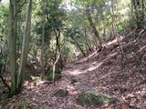 11登山道