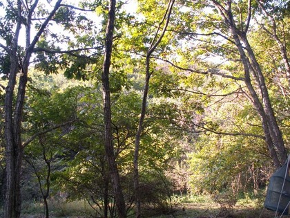 PICT0067
