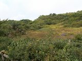 PICT0056