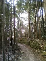 P1000788