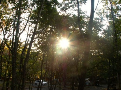 PICT0061