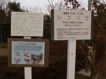 PICT0045