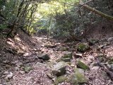 38下山道