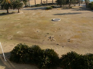 PICT0207