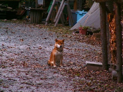 PICT0045