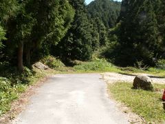 PICT0031