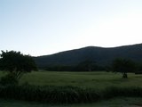 PICT0001