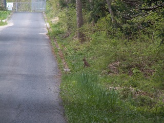 PICT0027
