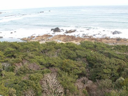 PICT0020