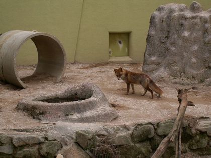PICT0084