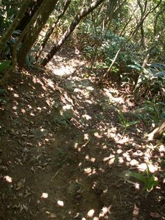 PICT0089